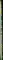 50 CM GREEN SPARKLERS
